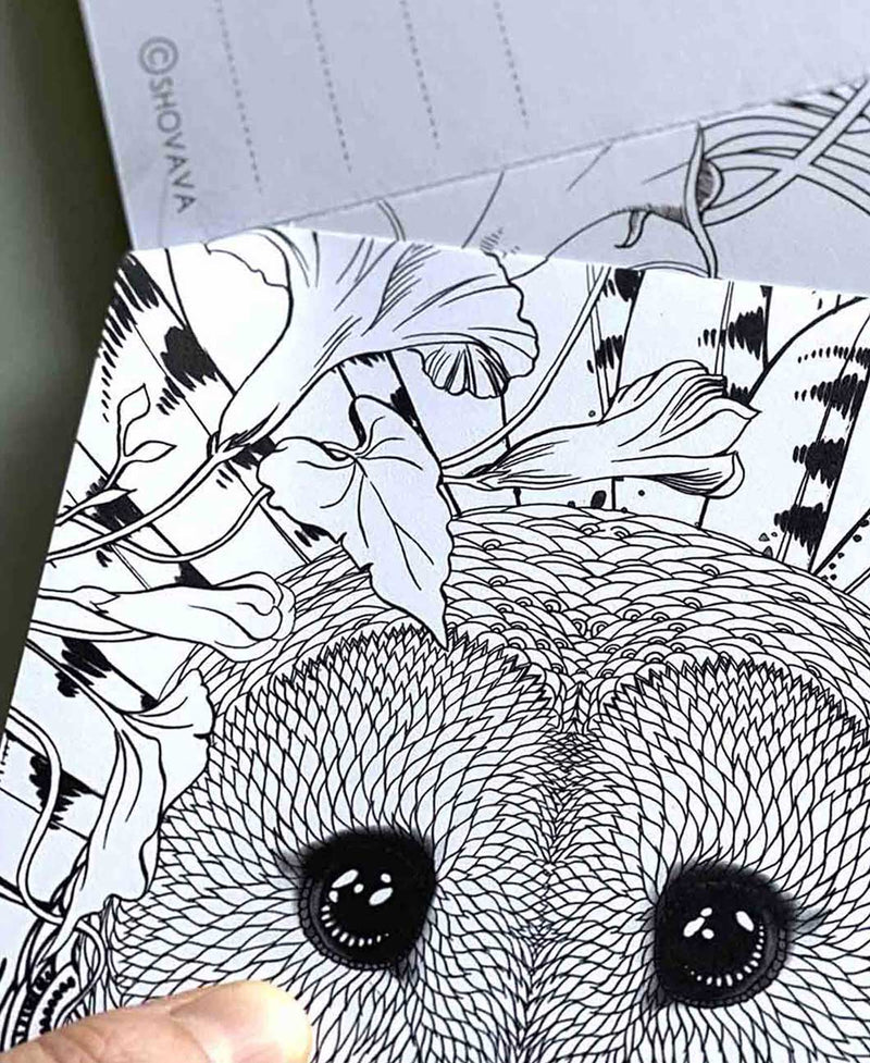 Drawn to color post card coloring book