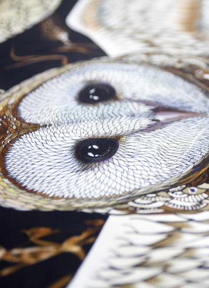 Barn Owl Bird Feather Wings Scarf