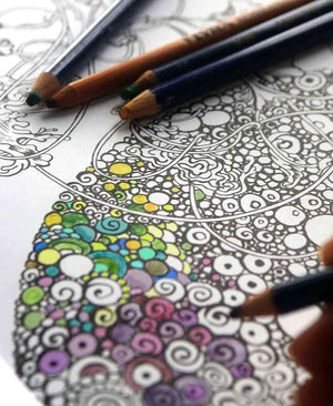 Adult Colouring Art Book